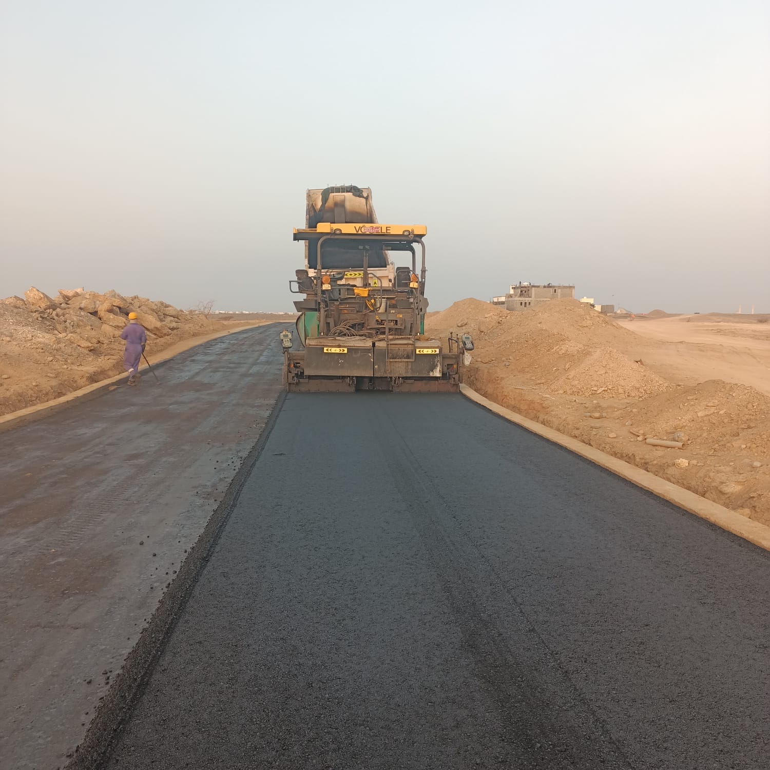 Newly laid asphalt road lined with palms in Oman